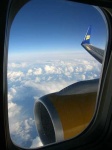 image of wing
