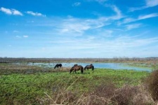 image of prairie