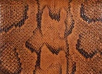 image of texture