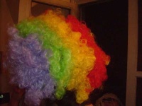 image of wig