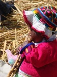 image of panpipe