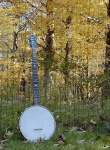 image of banjo