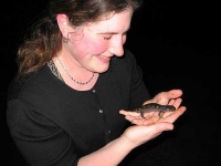 image of spotted_salamander