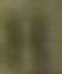 image of char
