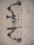 image of bow #32