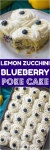 image of blueberry #34