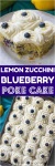 image of blueberry