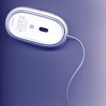 image of mouse
