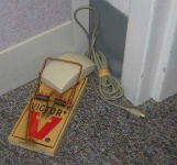image of mousetrap