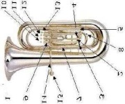 image of euphonium