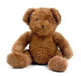 image of teddy_bear