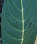 image of texture