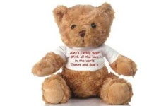 image of teddy_bear