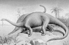 image of brontosaurus