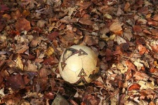 image of soccer_ball