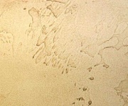 image of texture