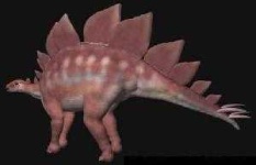 image of stegosaurus