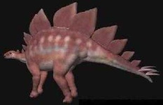 image of stegosaurus #49