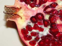 image of pomegranate