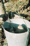 image of bucket