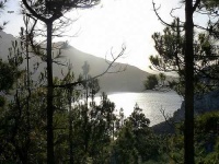 image of seashore