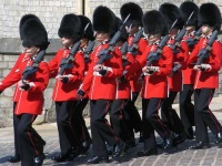 image of bearskin