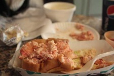 image of lobster_roll_sandwich #28