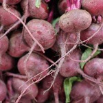 image of beetroot #13