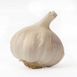 image of garlic #16