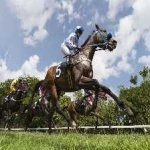 image of sport