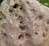 image of texture