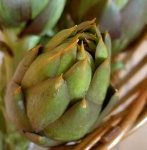 image of artichoke