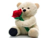 image of teddy_bear