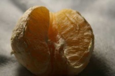 image of orange