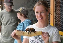 image of rhinoceros_beetle