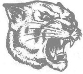 image of cougar_face