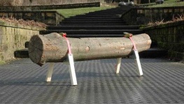 image of bench