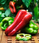 image of fruit_and_vegetable