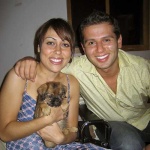 image of affenpinscher