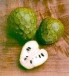 image of custard_apple #21