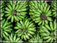 image of banana
