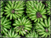 image of banana #25