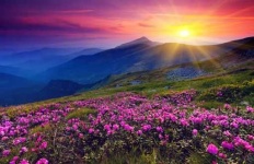 image of landscape