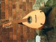 image of mandolin