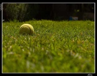 image of tennis_ball #26