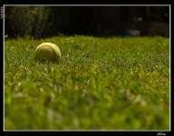 image of tennis_ball
