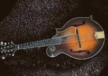 image of mandolin #14