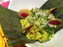 image of guacamole #11