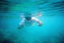 image of snorkel