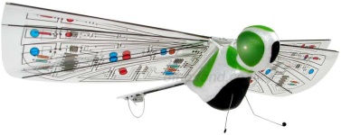 image of dragonfly